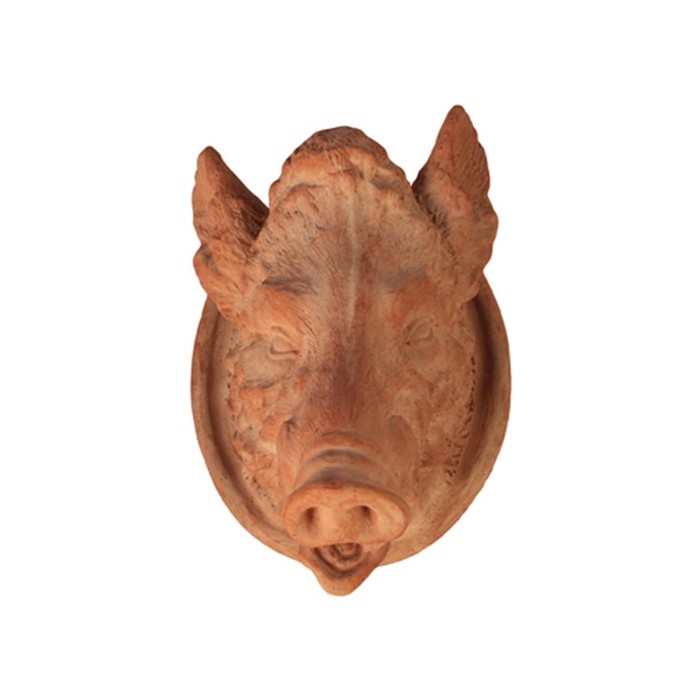 Boar Head in Terracotta